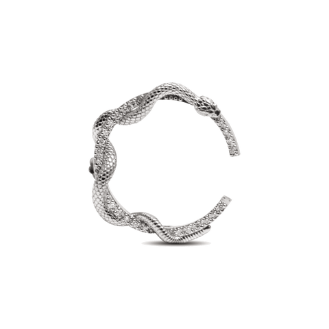Shiny surrounding snake - The Future Rocks