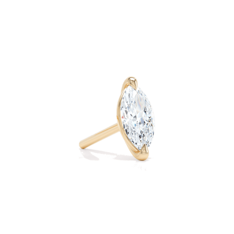 The Marquise Stud - The Future Rocks