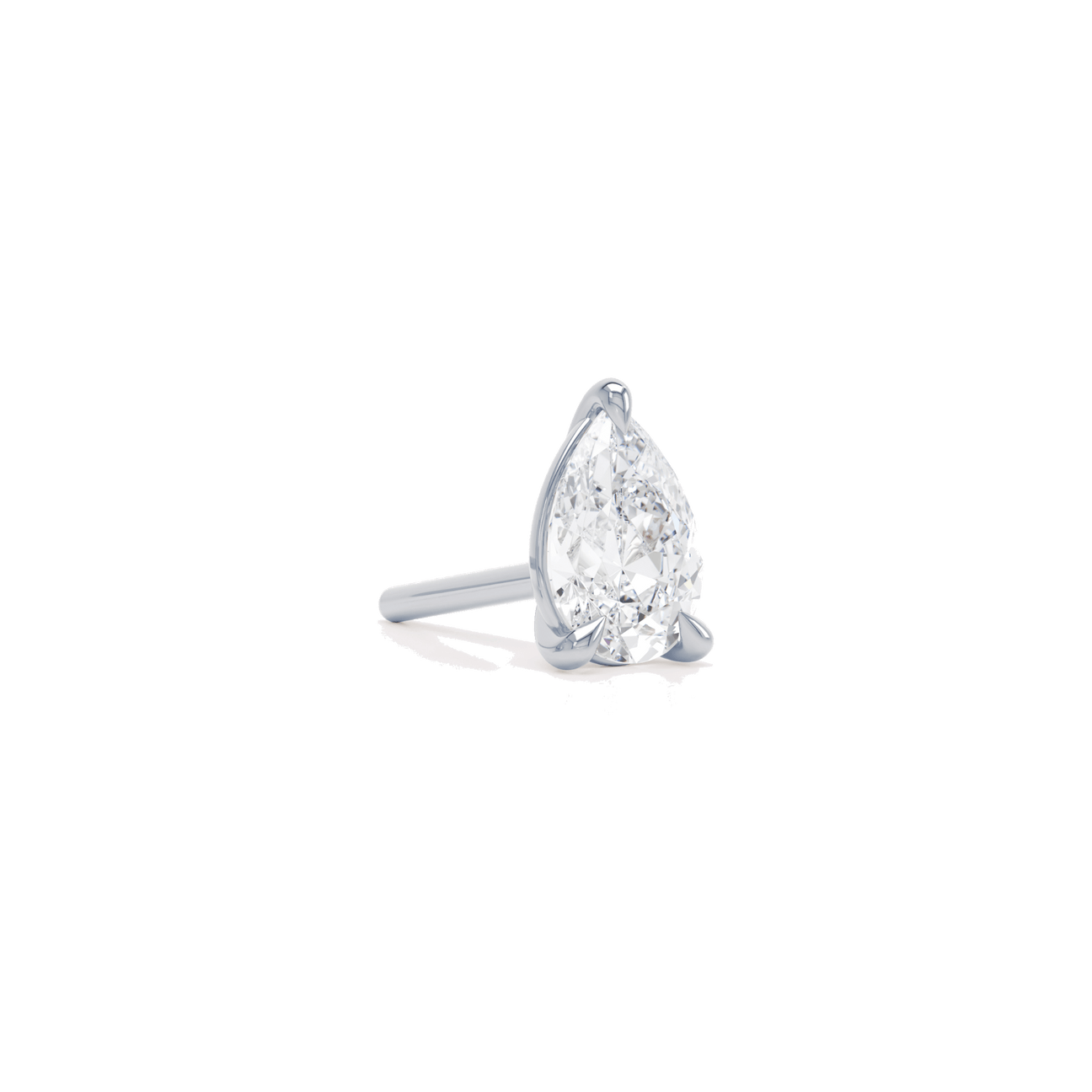 The pear stud - The pear stud -  The Future Rocks -    5