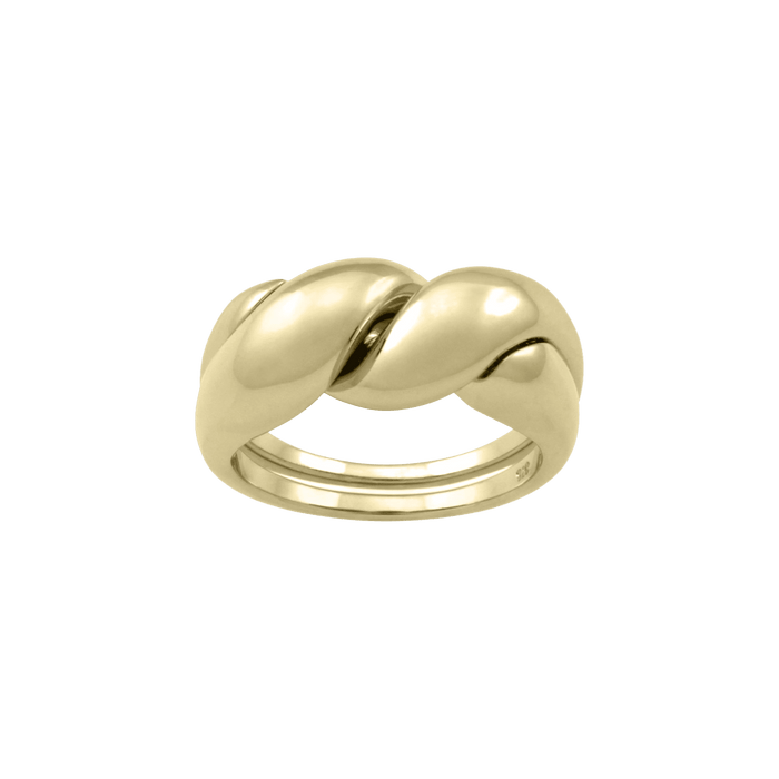 The puzzle ring - The puzzle ring - The Future Rocks - 1