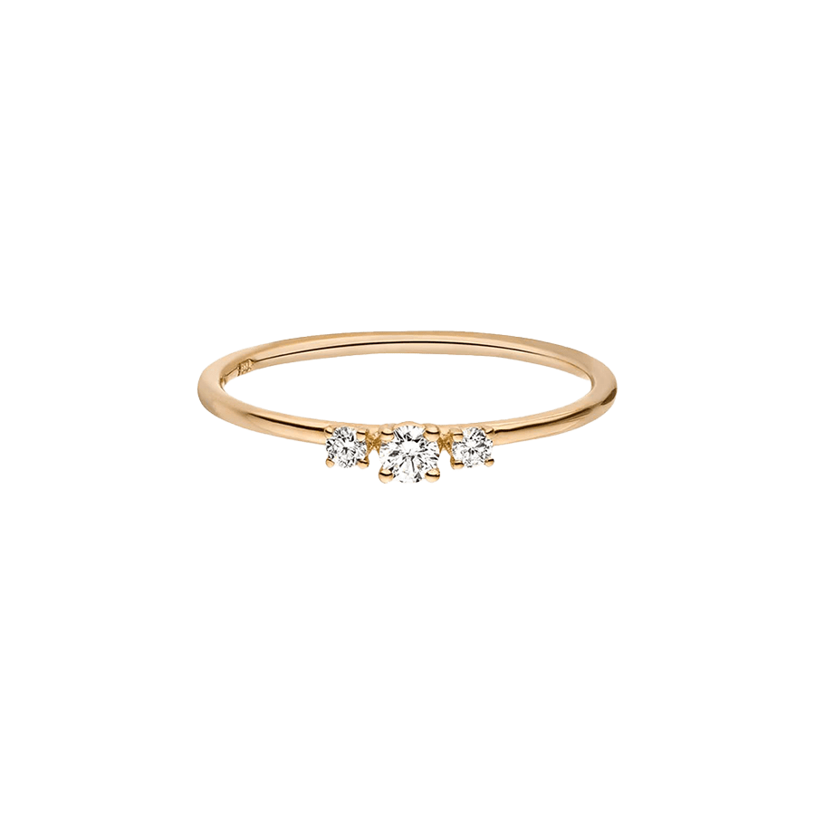 Wilderness trilogie ring - Wilderness trilogie ring -  The Future Rocks -    5