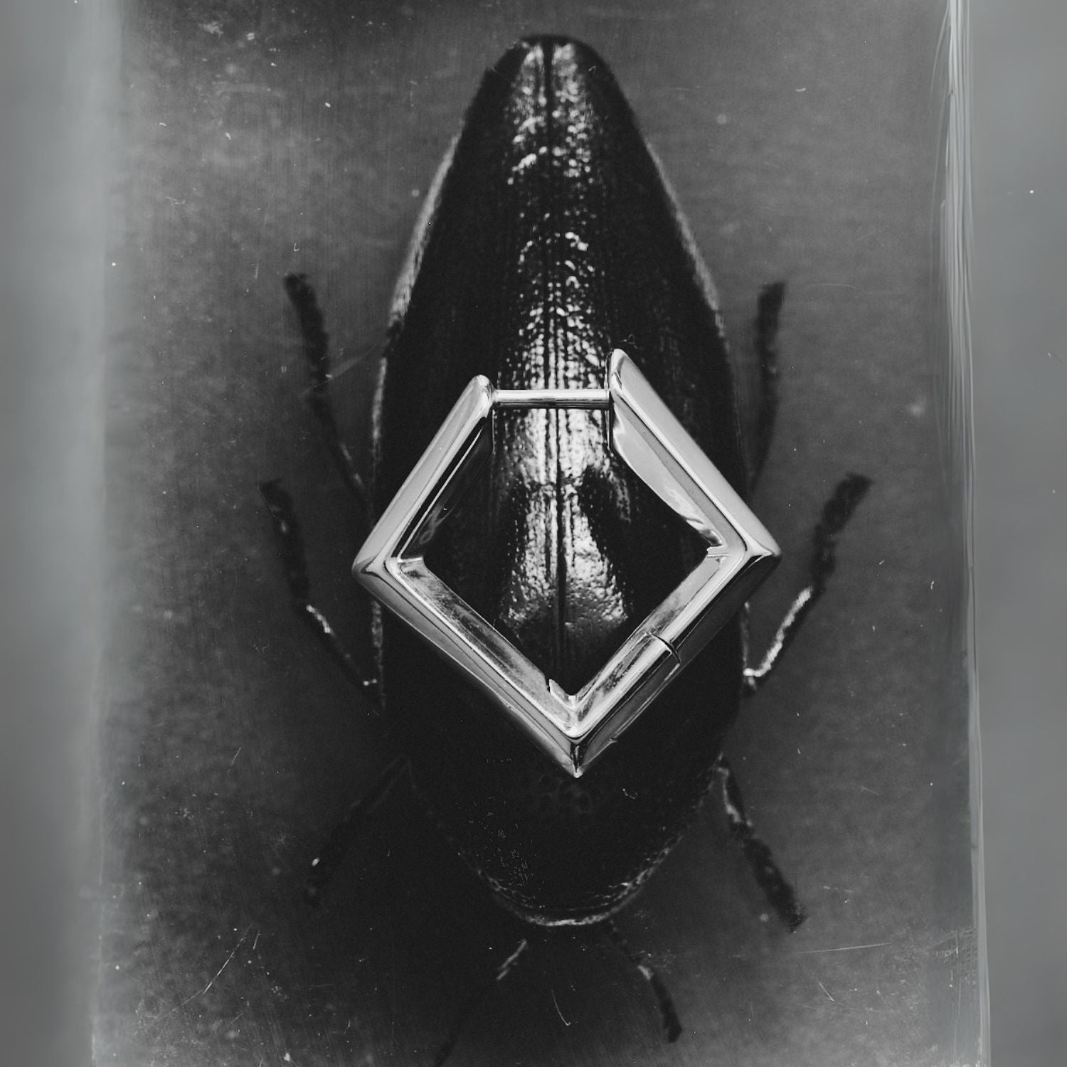 Sculptura Square |ピアス