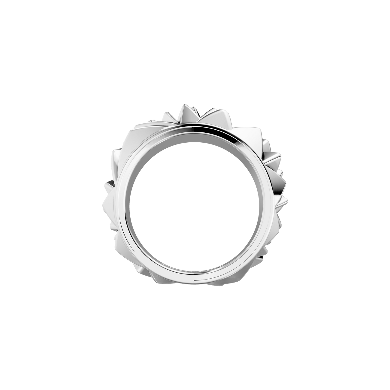  The sculptor's facet ring - The sculptor's facet ring -  The Future Rocks -    6 