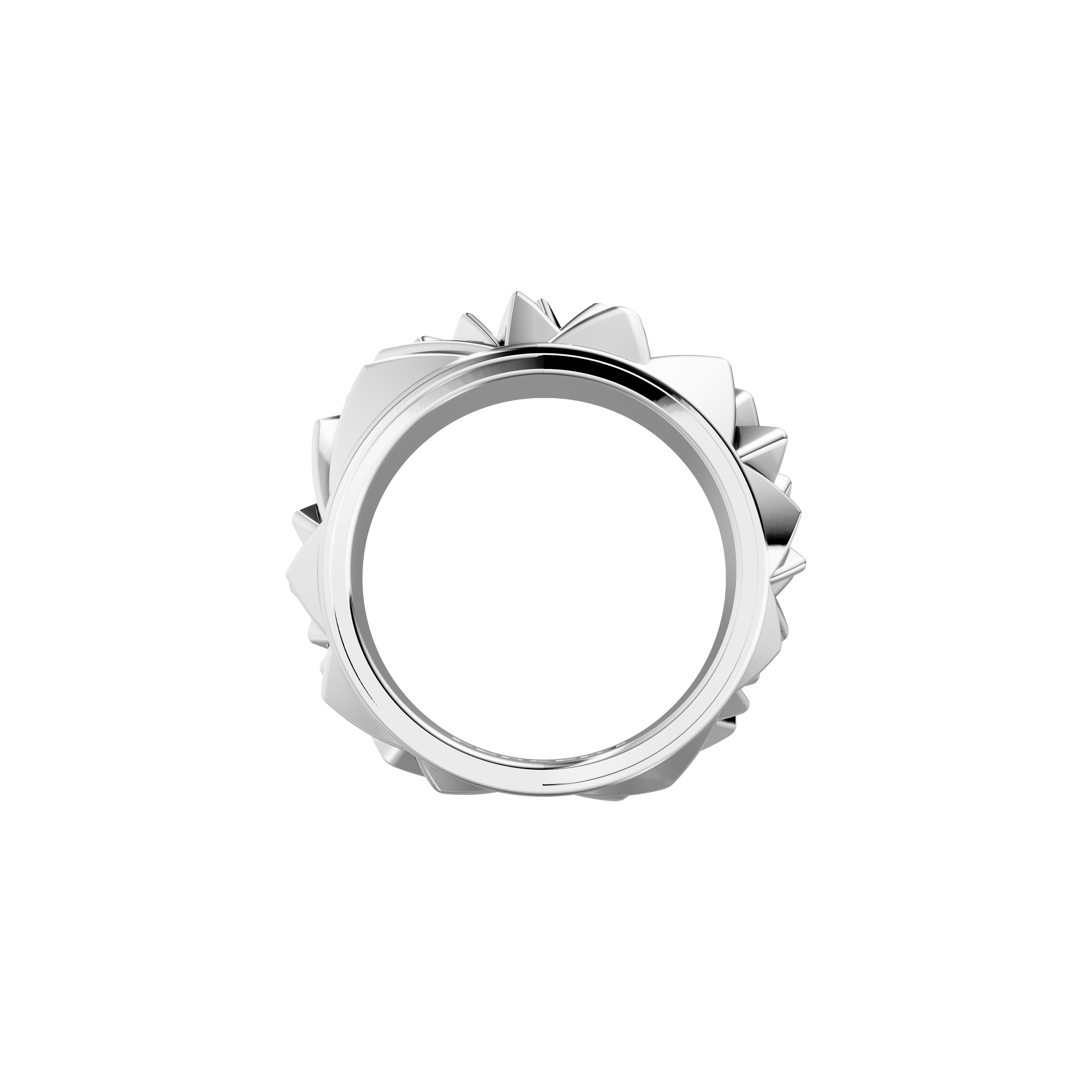  The sculptor's facet ring - The sculptor's facet ring -  The Future Rocks -    6 