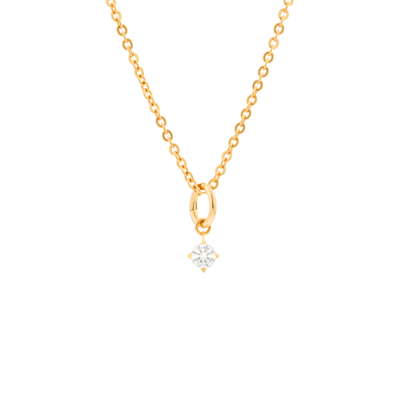  Gaia necklace with 1 charm - Gaia necklace with 1 charm -  The Future Rocks -    1 