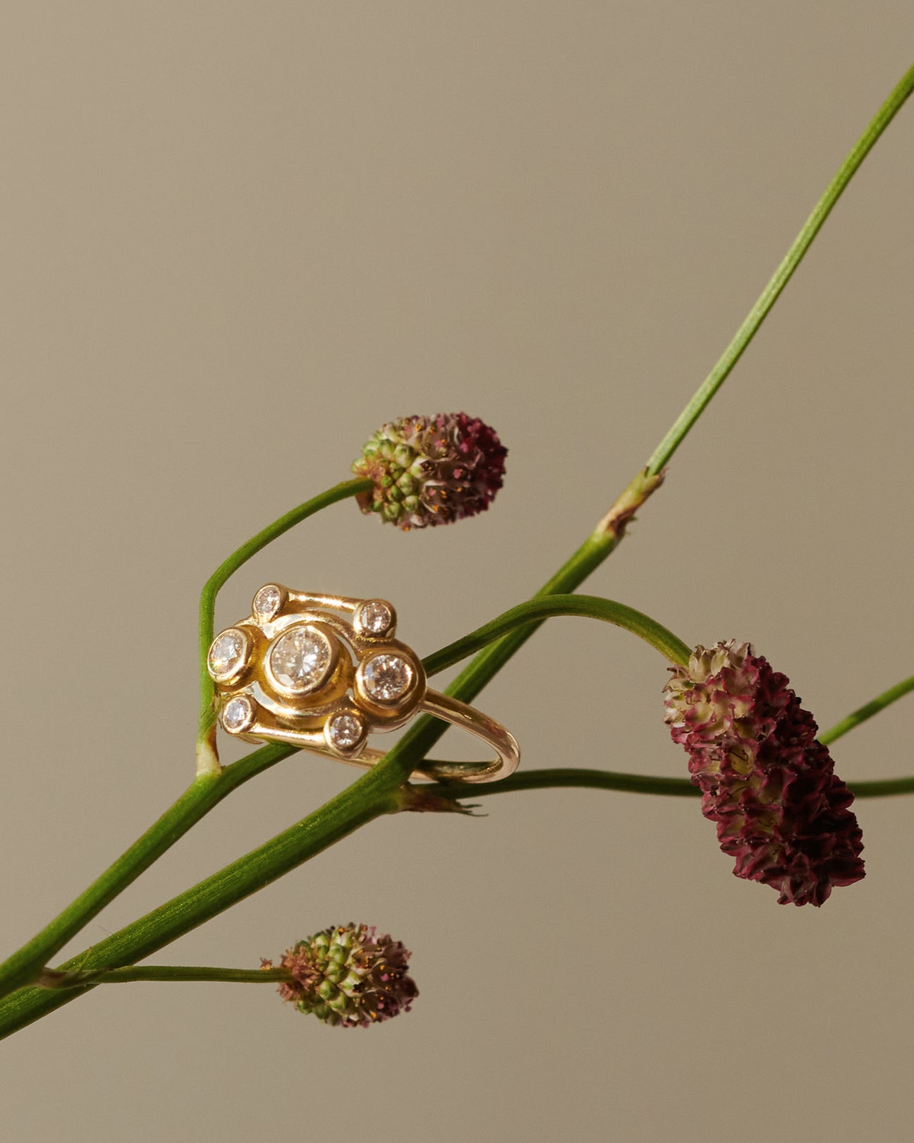  Blossom ring - Blossom ring -  The Future Rocks -    3 