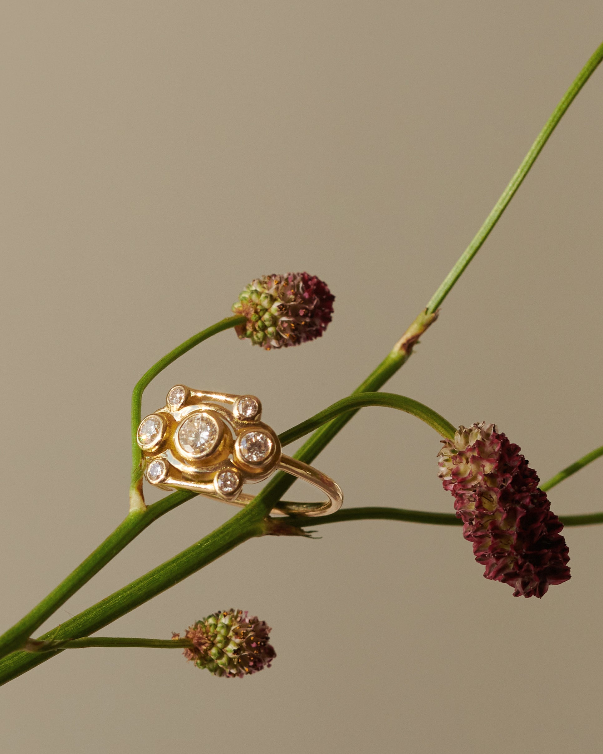  Blossom ring - Blossom ring -  The Future Rocks -    3 