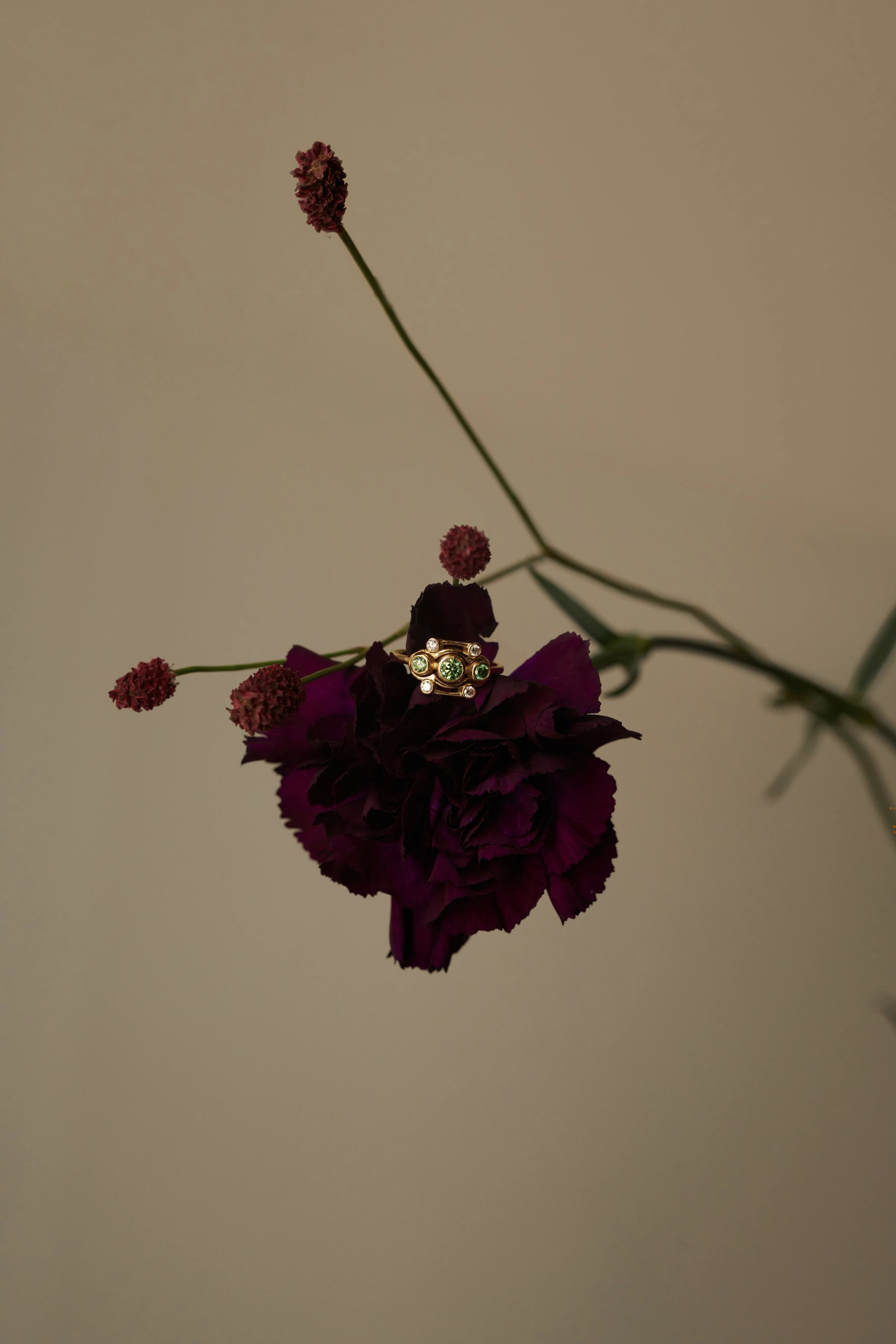  Blossom ring - Blossom ring -  The Future Rocks -    4 