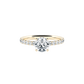  Norah ring - Lab-Grown Diamond Pavé Solitaire Ring -  The Future Rocks  -    4 