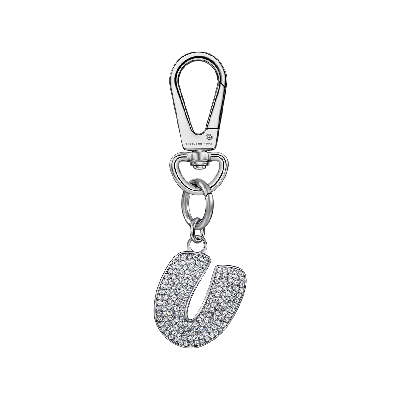 Brown pet collar with 1 charm | セット