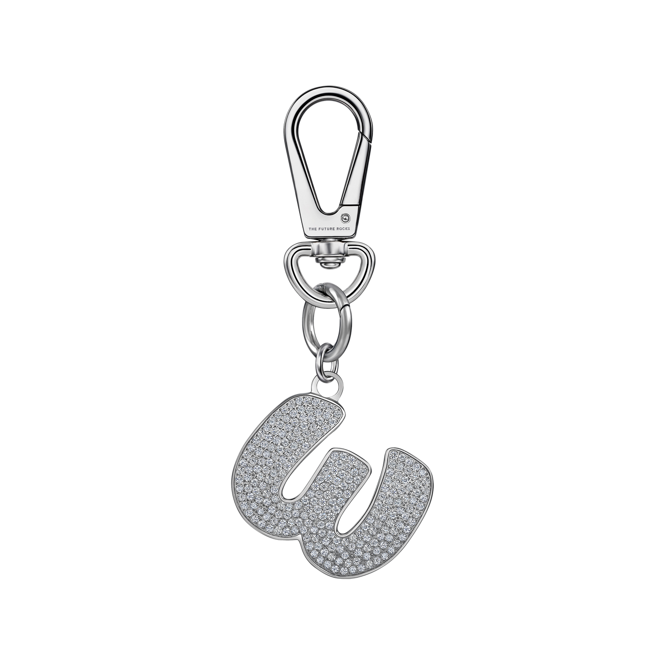 Brown pet collar with 1 charm | セット