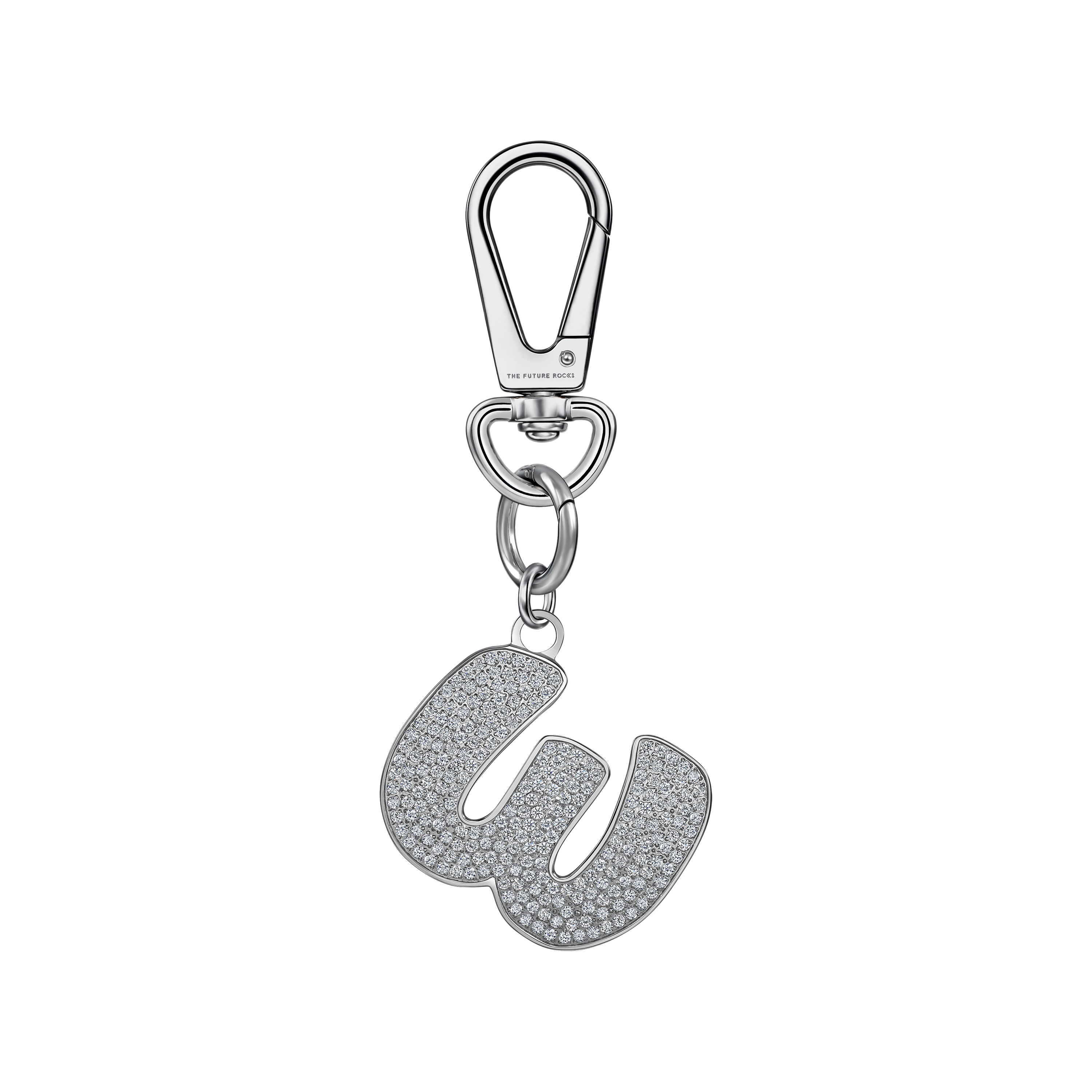 Brown pet collar with 1 charm | セット