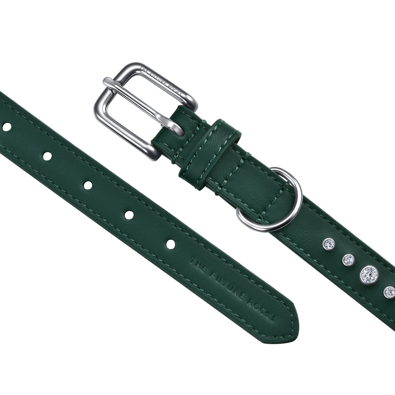 Green pet collar, leash and 1 charm bundle