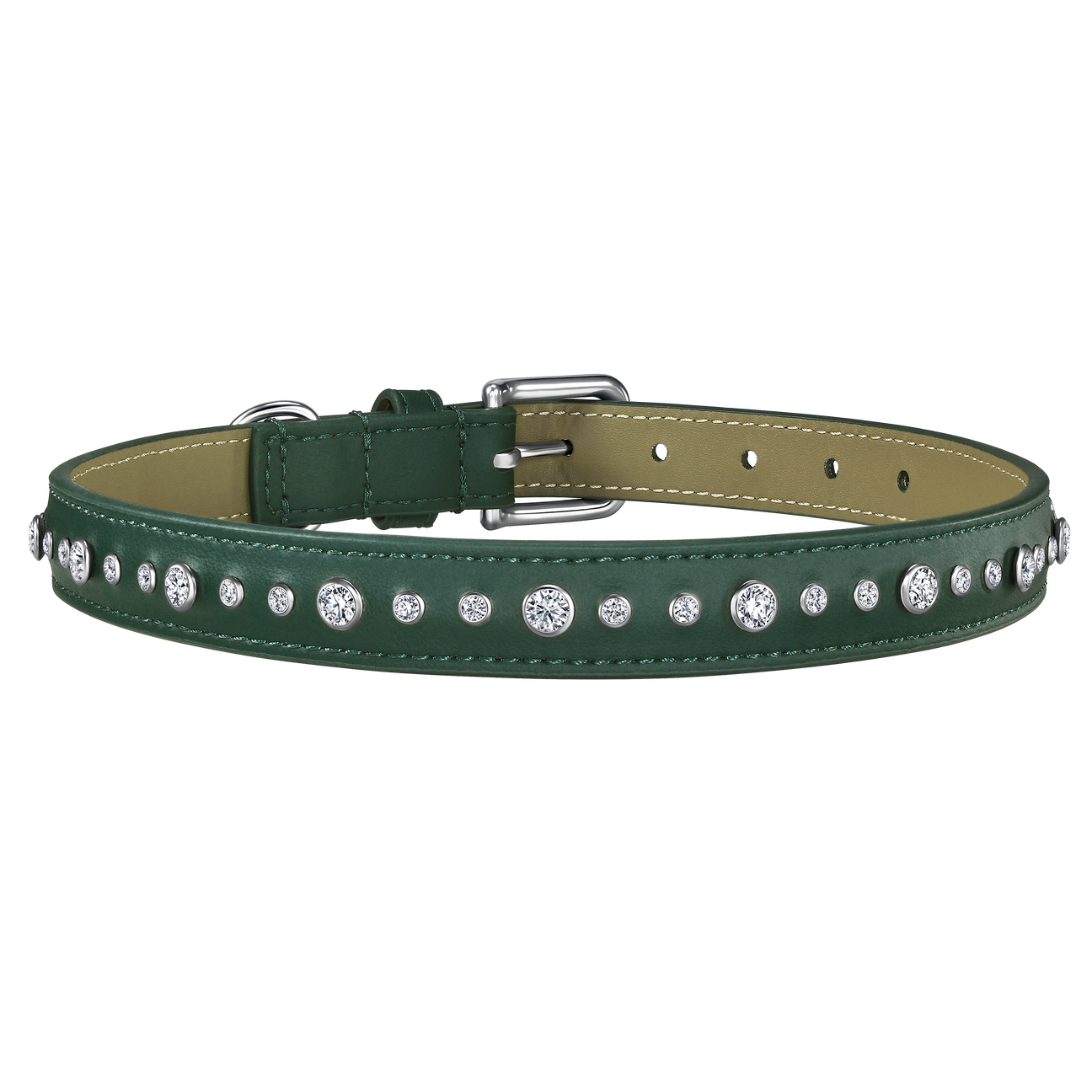 Green pet collar, leash and 1 charm bundle