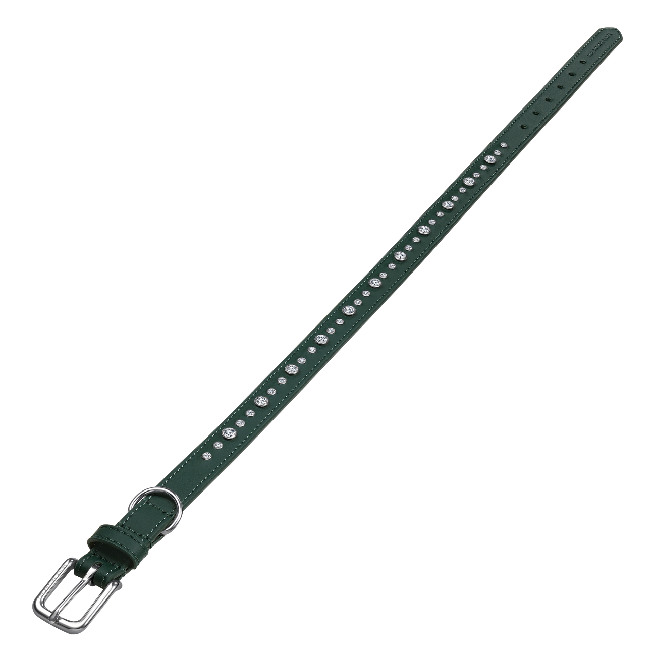 Green collar & leash | セット