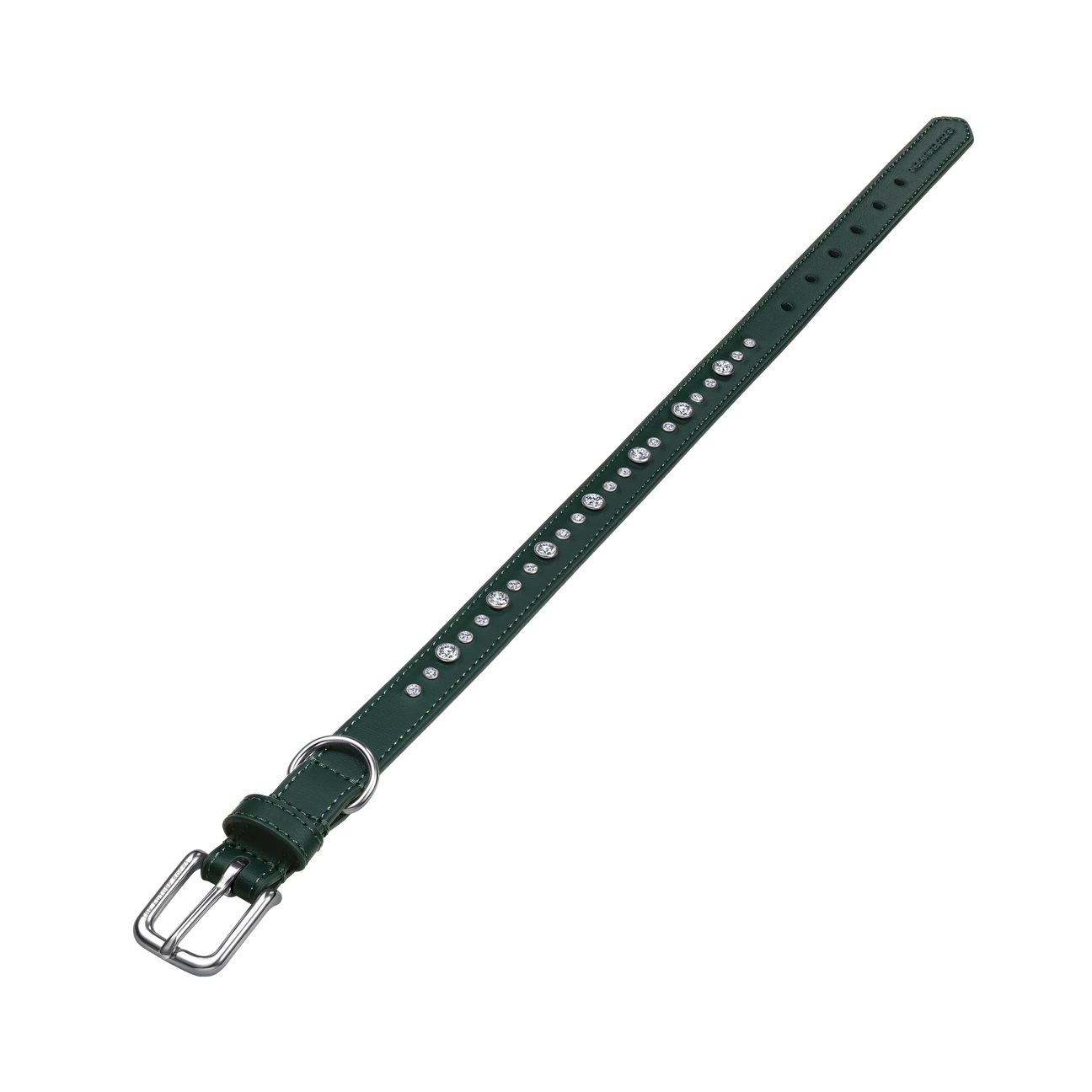 Green collar & leash | セット