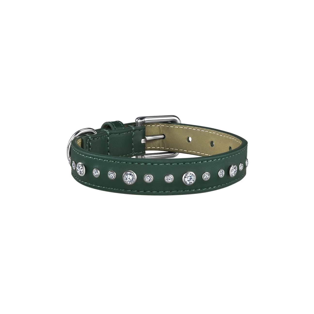 Green pet collar with 1 charm | セット