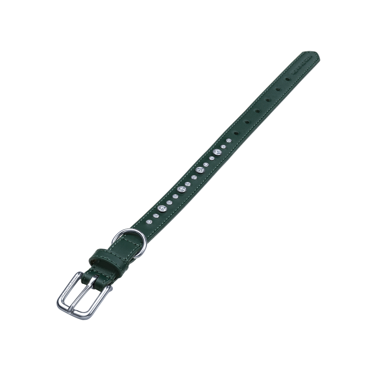 Green collar & leash | セット