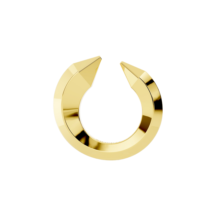 The sculptor's ring - The sculptor's ring -  The Future Rocks -    1 