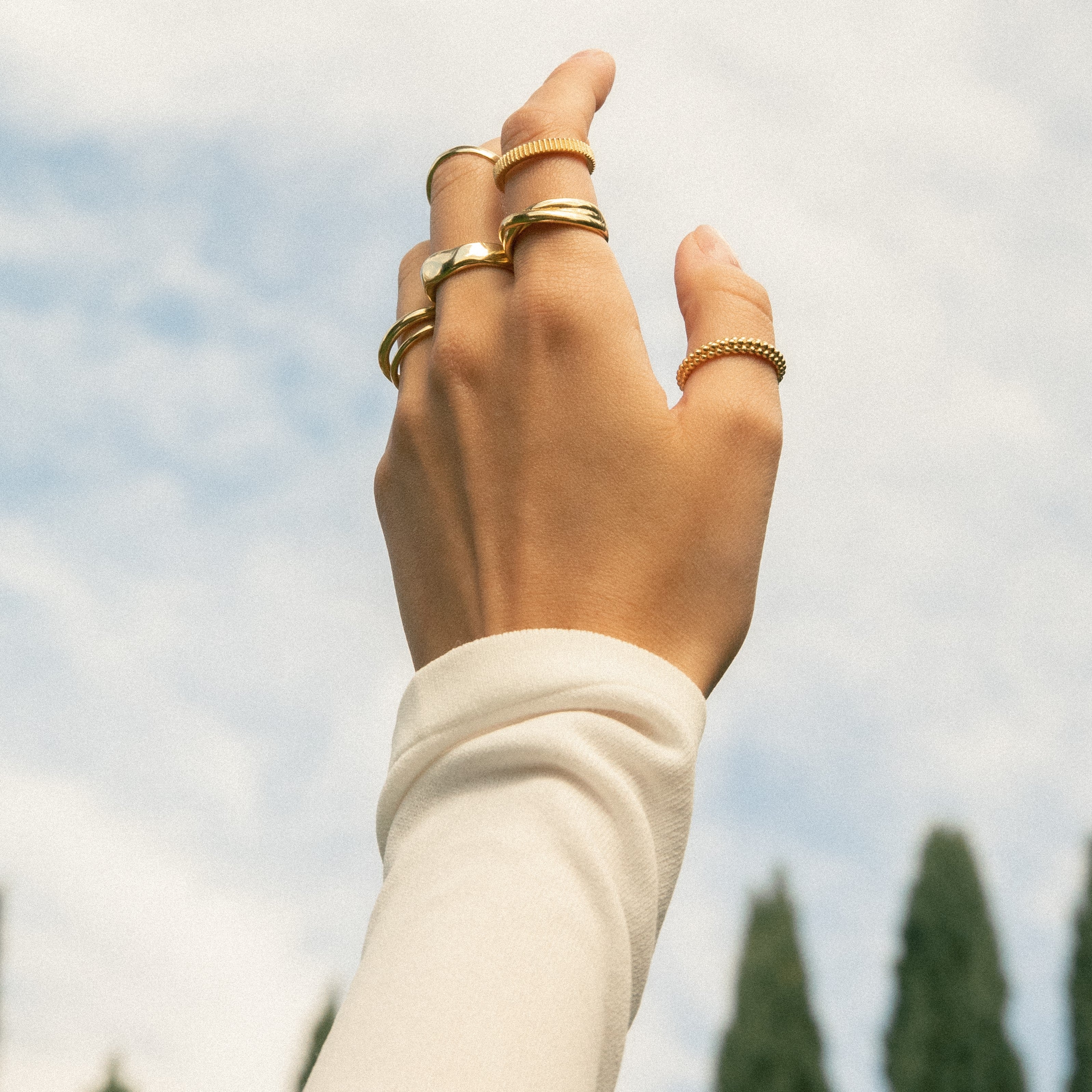  Roots ring - Roots ring -  The Future Rocks -    2 