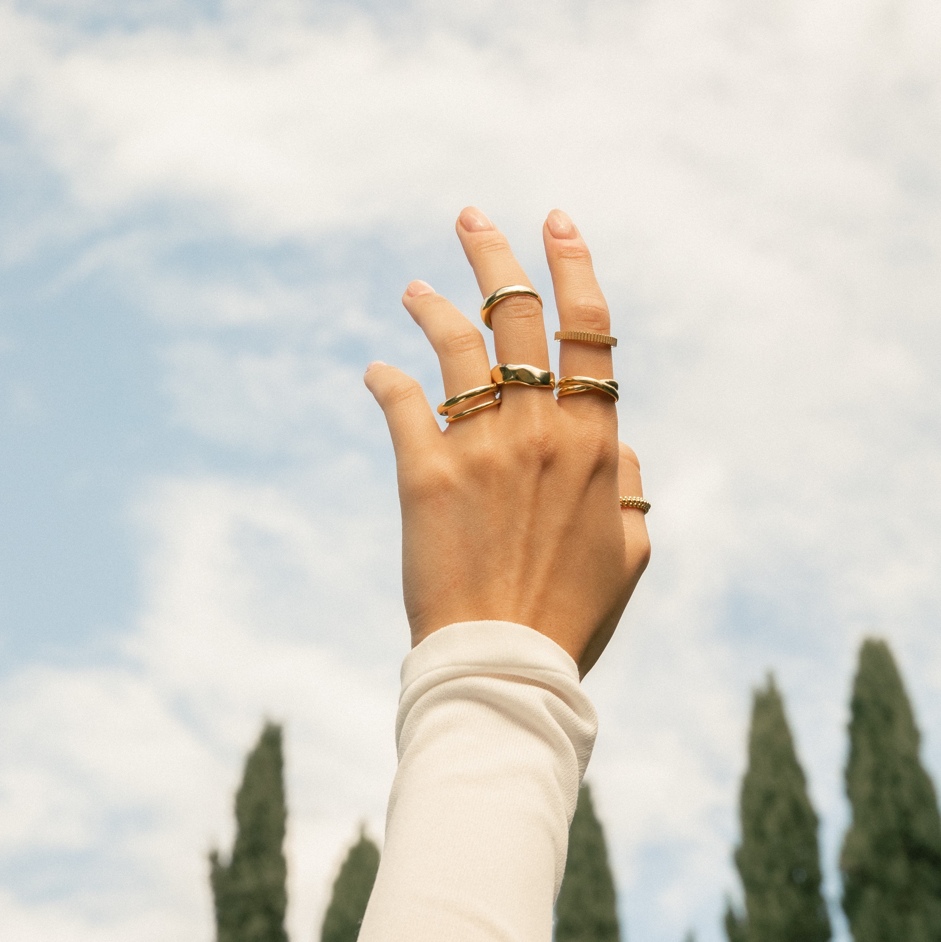  Roots small ring - Roots small ring -  The Future Rocks -    2 