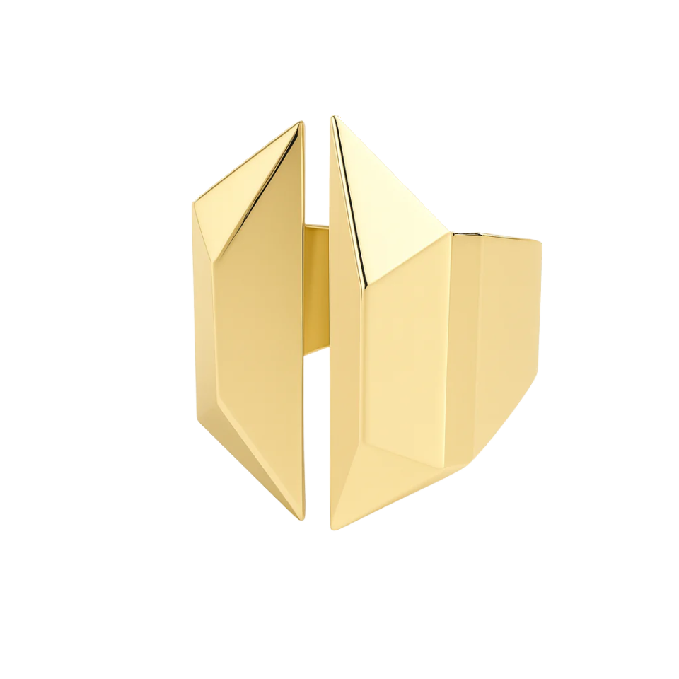  The Sculptor's Shield ring - The Sculptor's Shield ring -  The Future Rocks -    1 