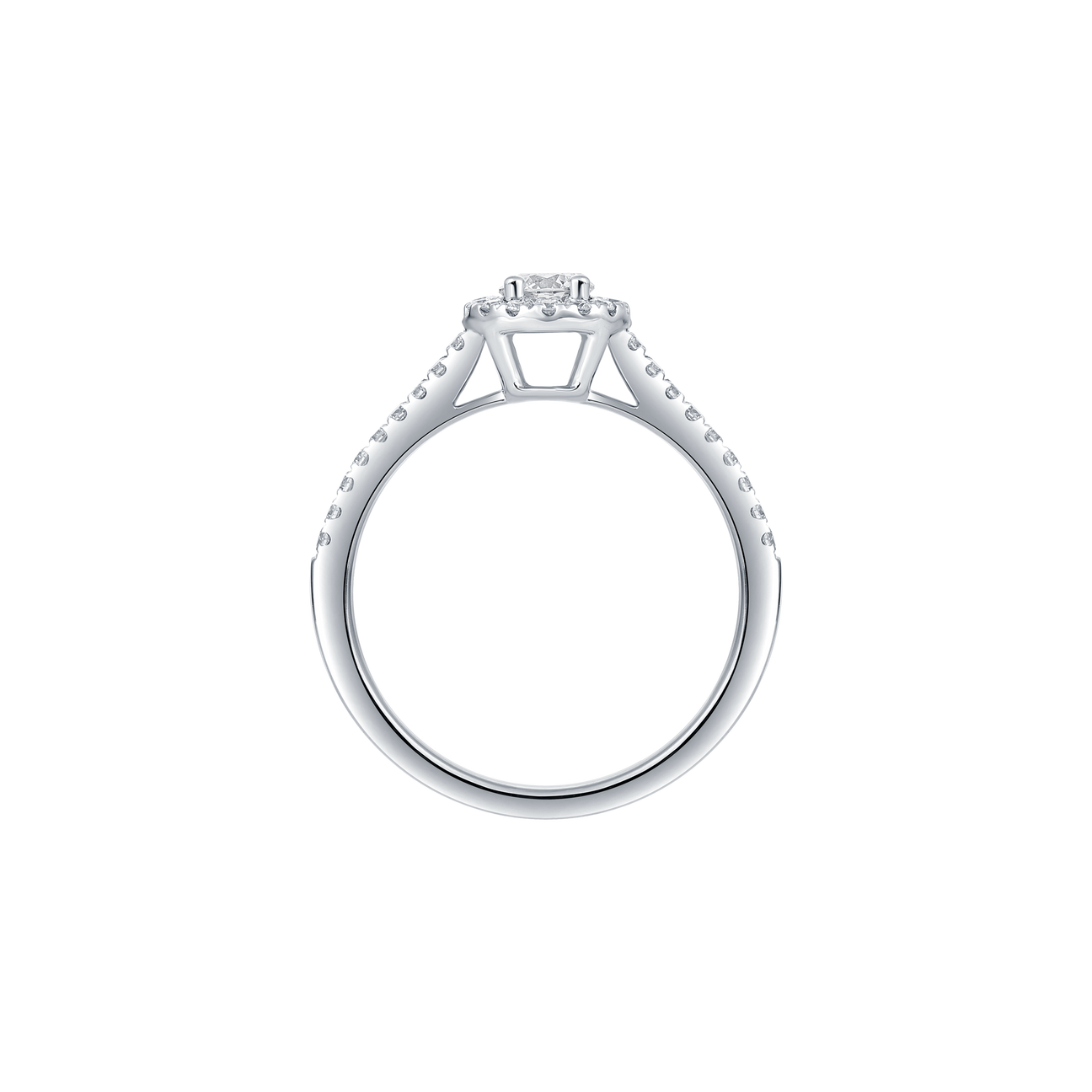  Round petite halo ring - Round petite halo ring -  The Future Rocks -    4 