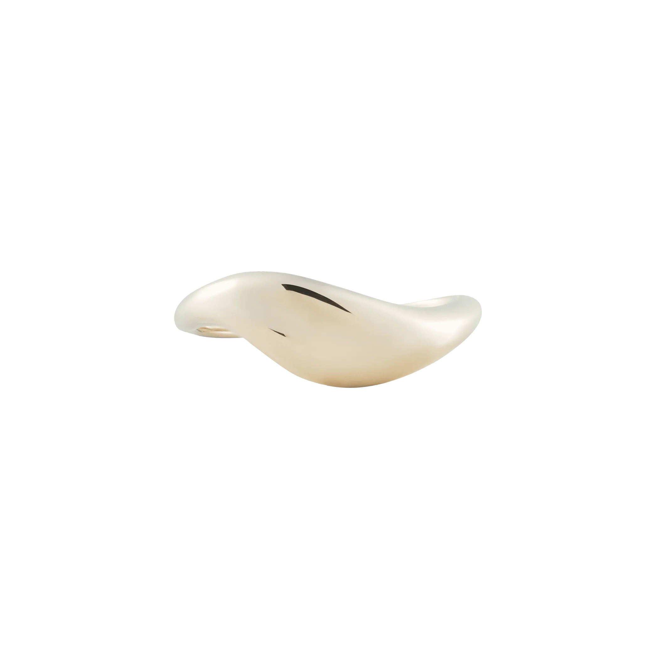  Saturn ring - Saturn ring -  The Future Rocks -    10 