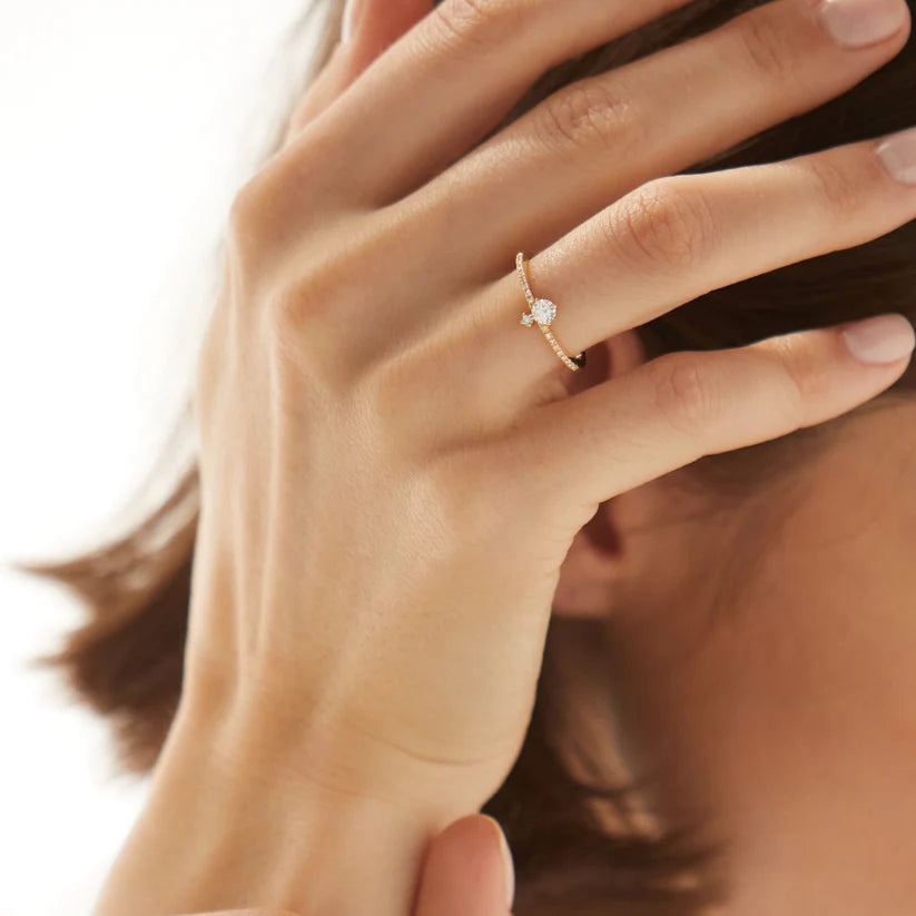  Sully ring - Sully ring -  The Future Rocks -    2 