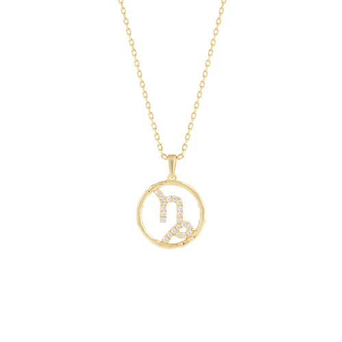  Capricorn medallion pendant necklace - Capricorn Zodiac Pendant Necklace -  The Future Rocks -    1 