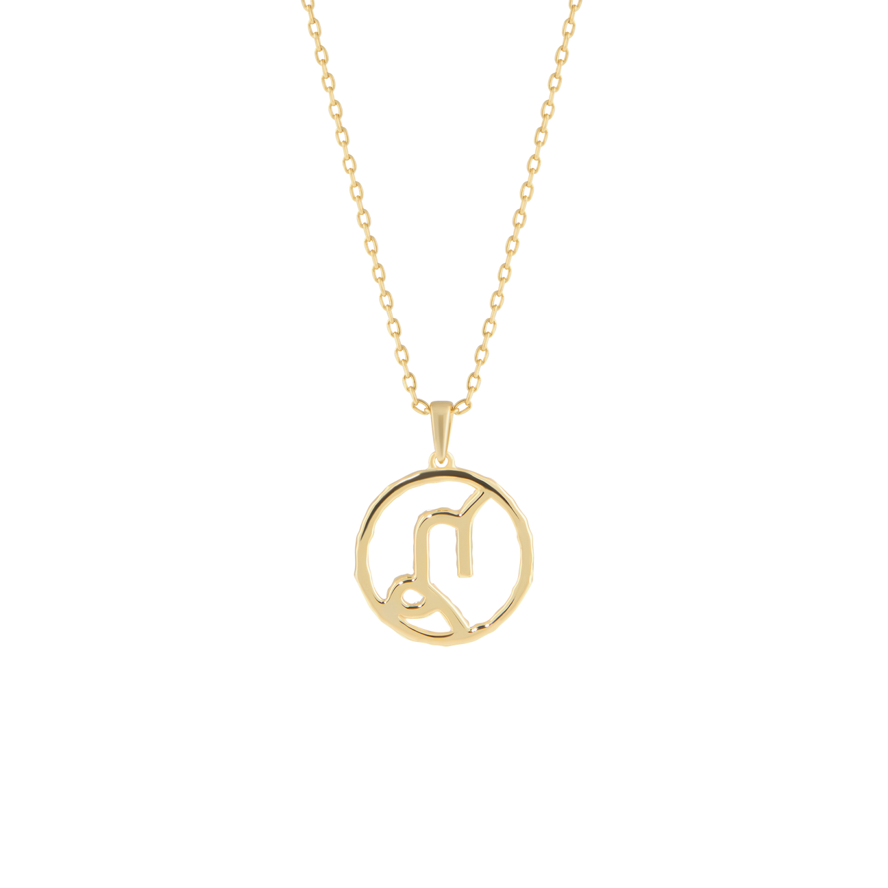  Capricorn medallion pendant necklace - Capricorn medallion pendant necklace -  The Future Rocks -    4 