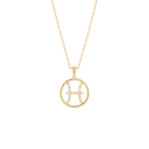  Pisces medallion pendant necklace - Pisces Zodiac Pendant Necklace -  The Future Rocks -    1 