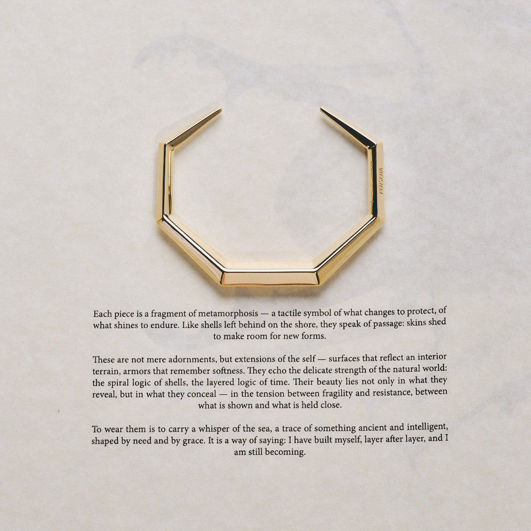  The sculptor's bangle - The sculptor's bangle -  The Future Rocks -    8 