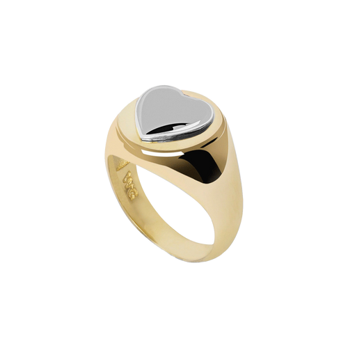  Gold and silver mix heart ring - Gold and Silver Heart Ring -  The Future Rocks -    1 