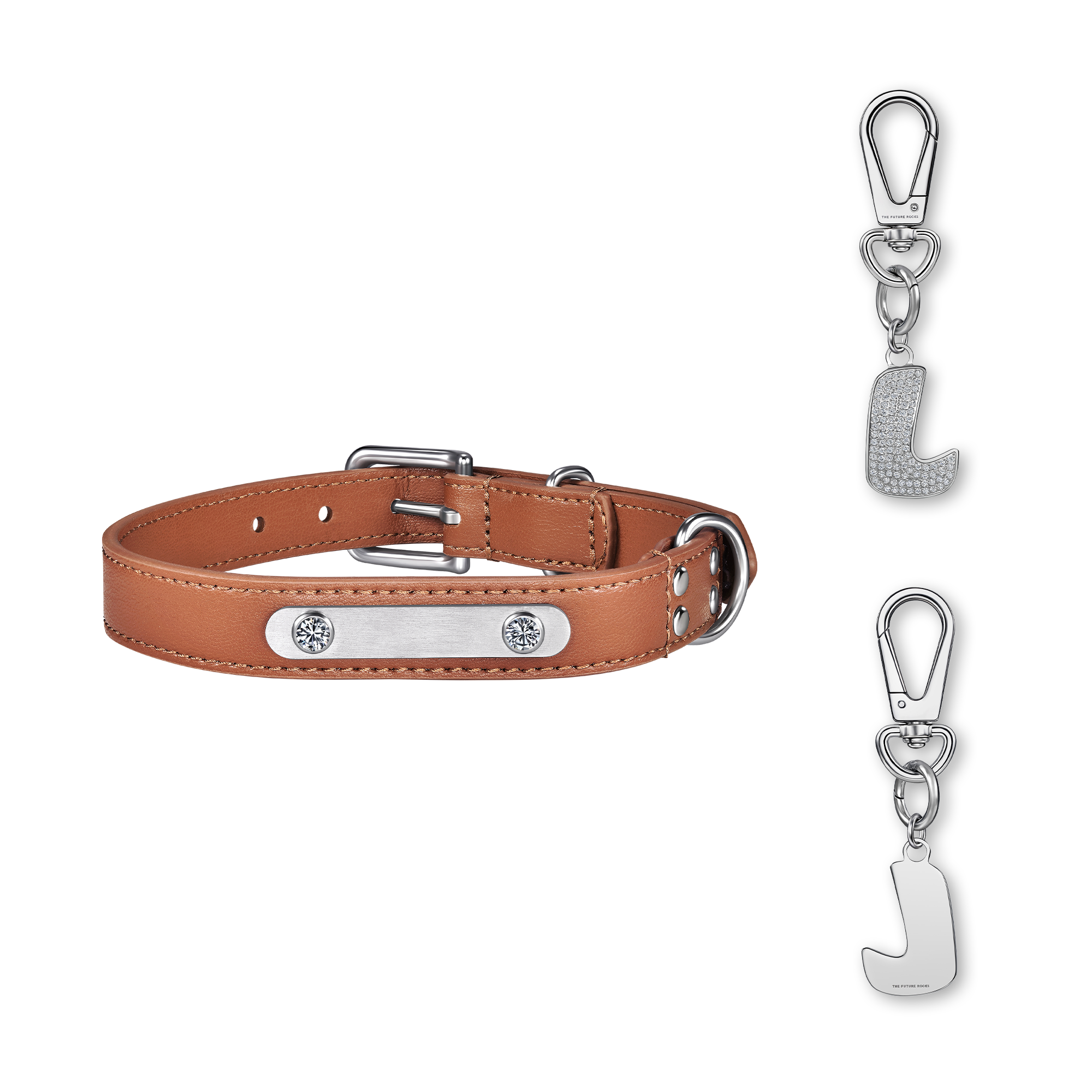 Brown pet collar with 1 charm | セット