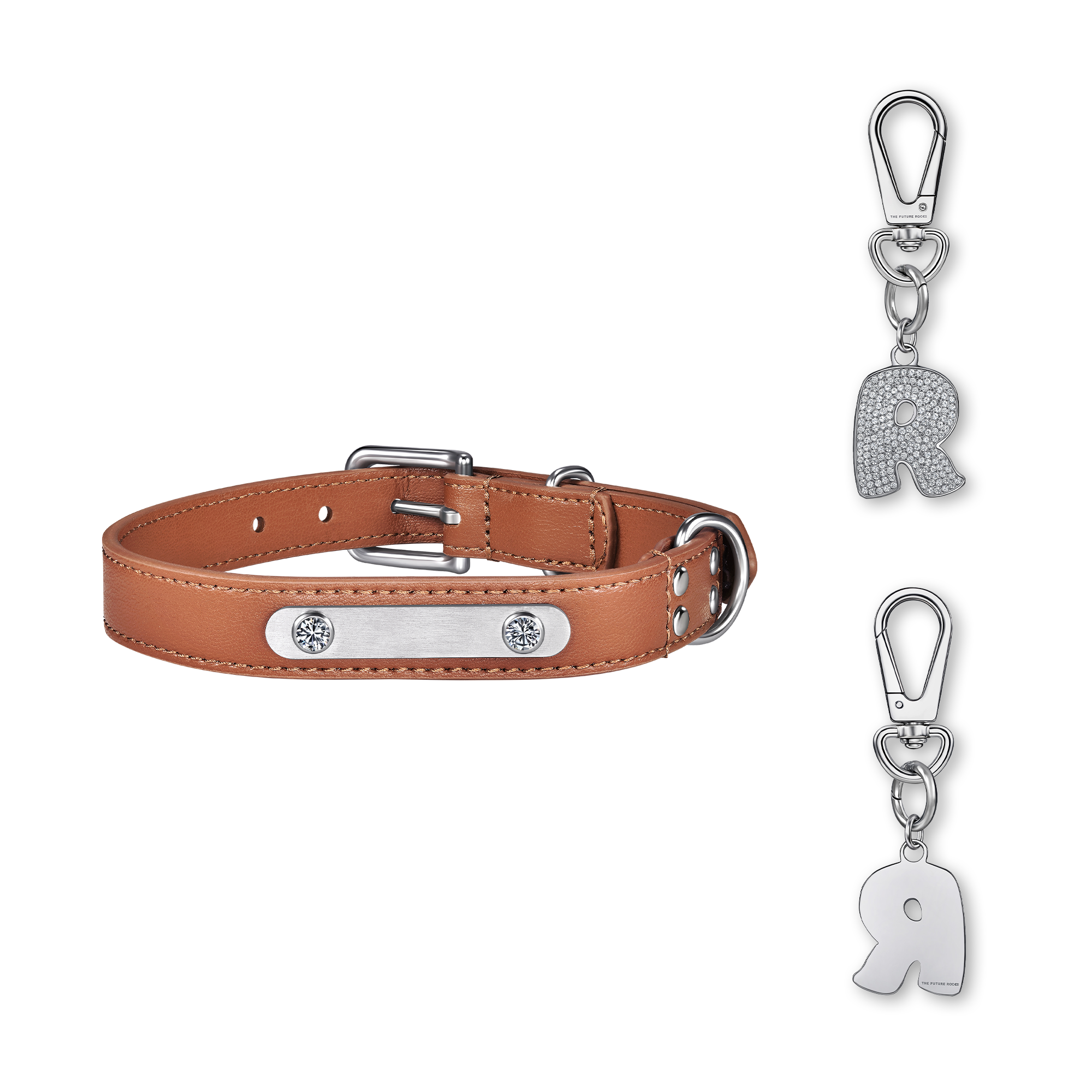 Brown pet collar with 1 charm | セット