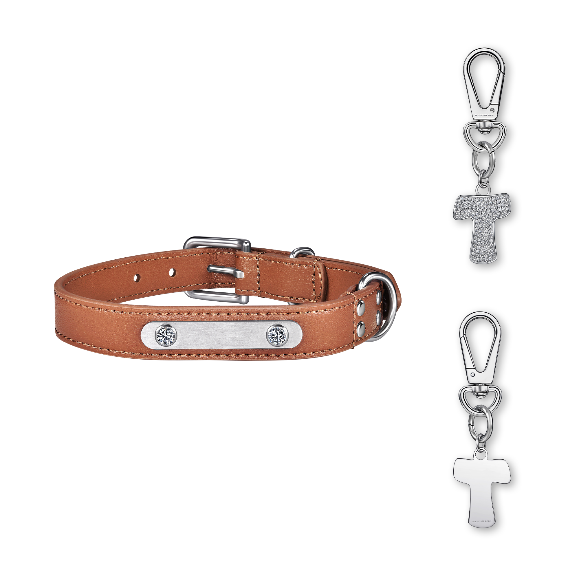 Brown pet collar with 1 charm | セット