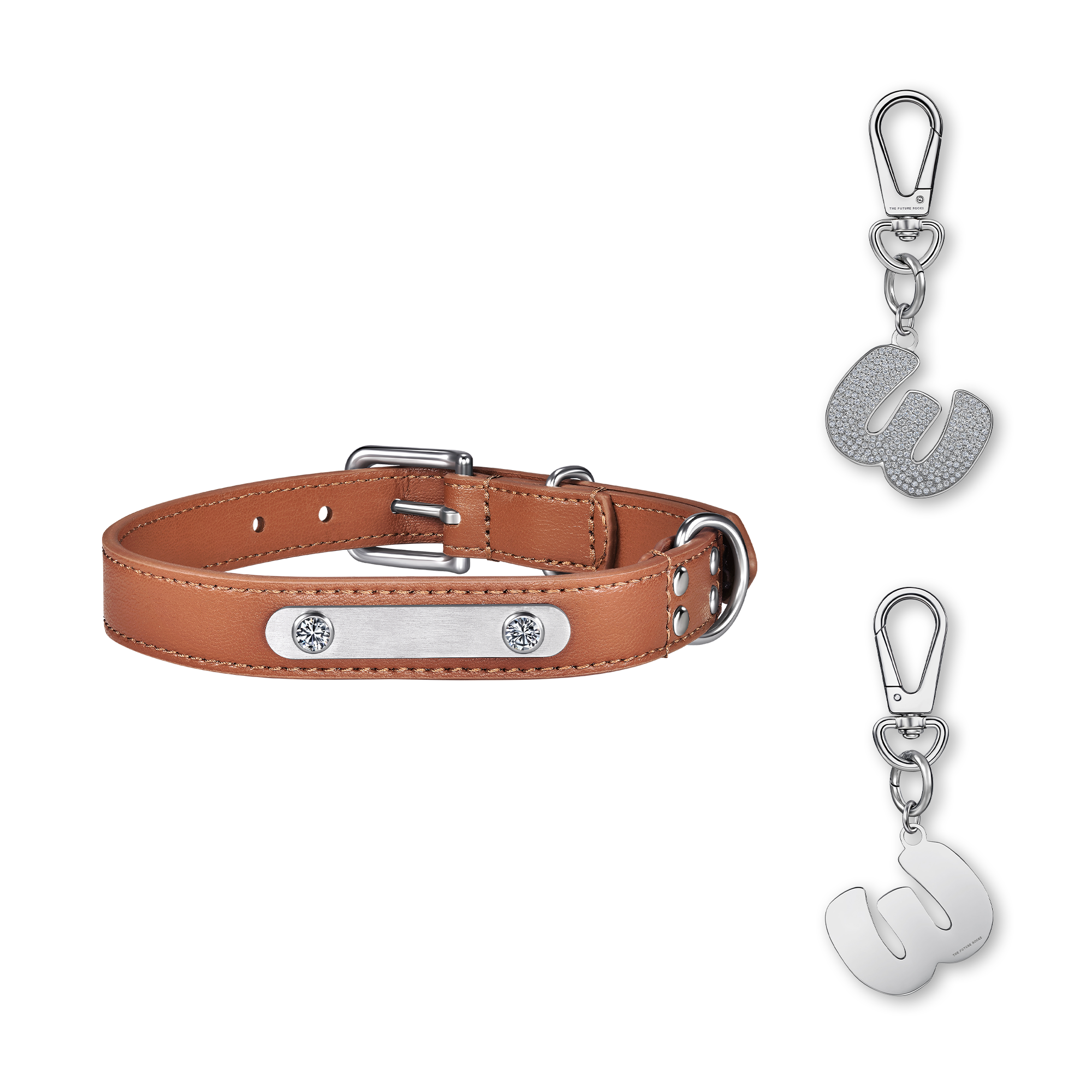 Brown pet collar with 1 charm | セット