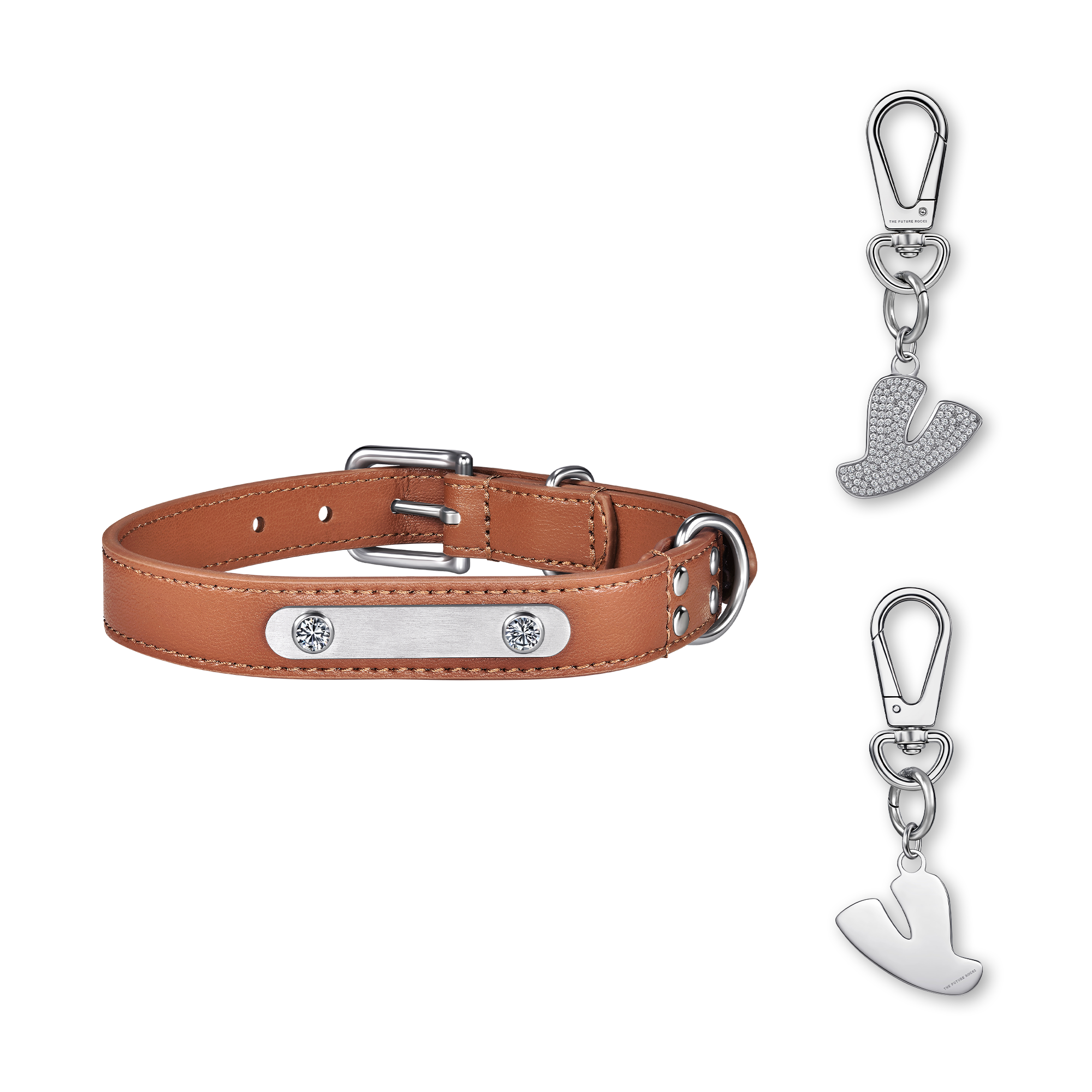 Brown pet collar with 1 charm | セット