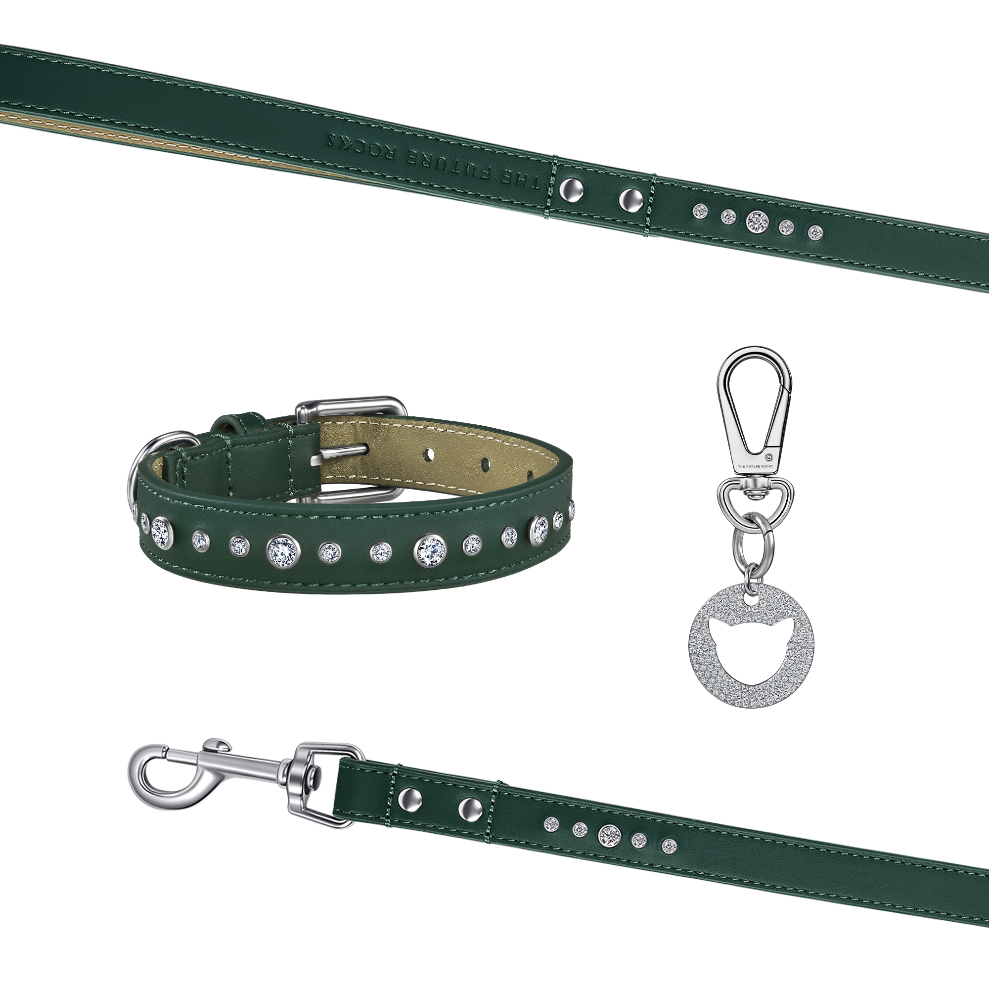  Green pet collar, leash and 1 charm bundle - Green pet collar, leash and 1 charm bundle -  The Future Rocks -    1 