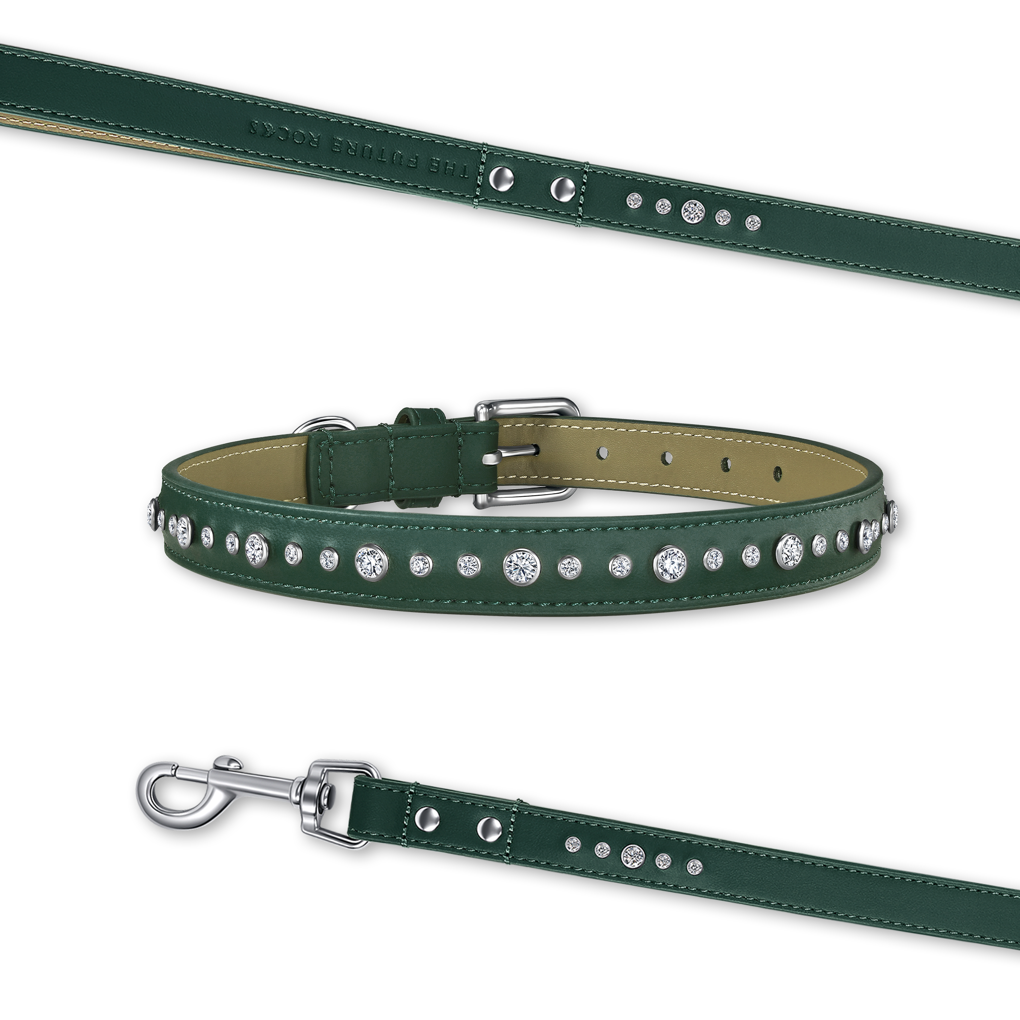  Green collar & leash bundle - Green collar & leash bundle -  The Future Rocks -    1 