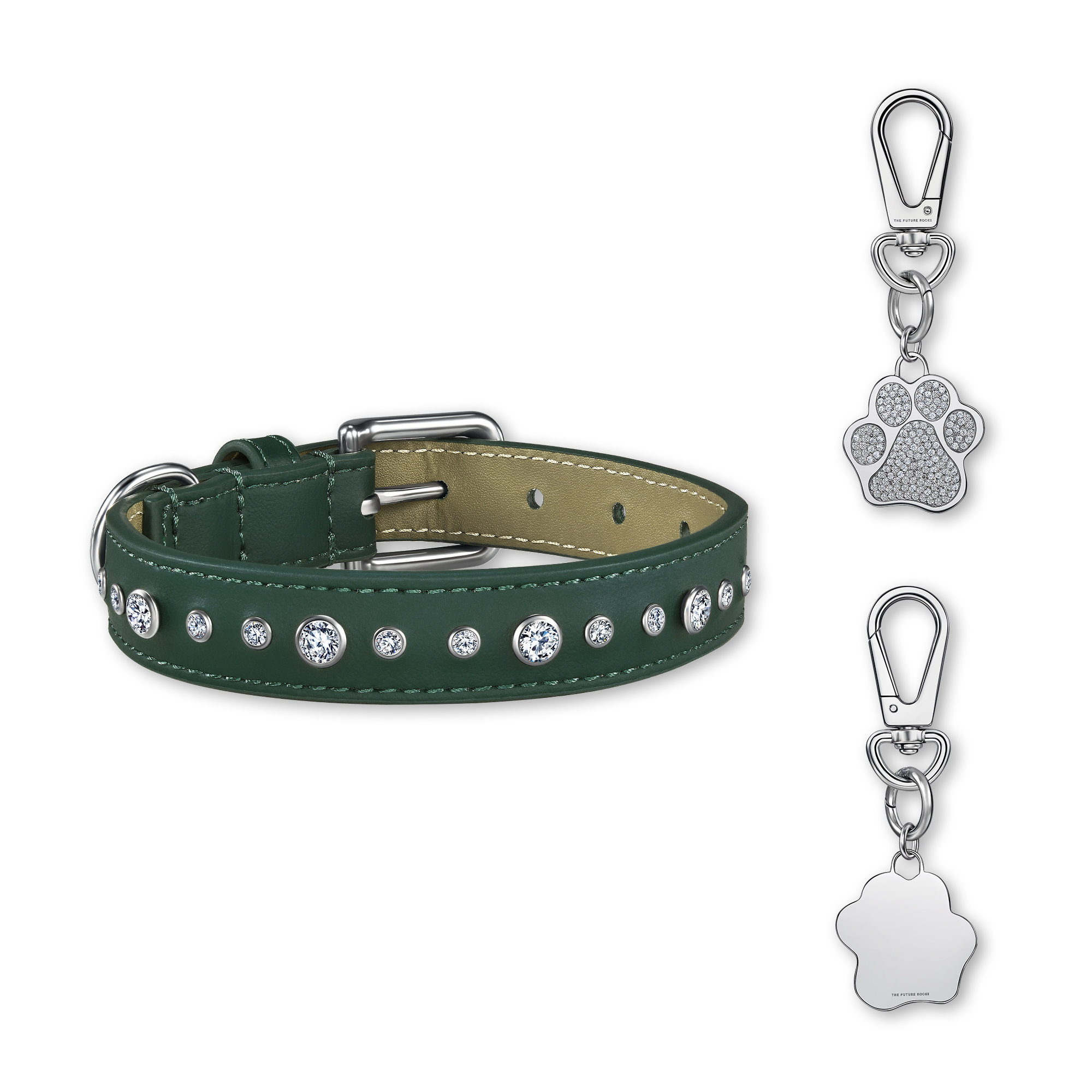  Green pet collar with 1 charm bundle - Green pet collar with 1 charm bundle -  The Future Rocks -    12 