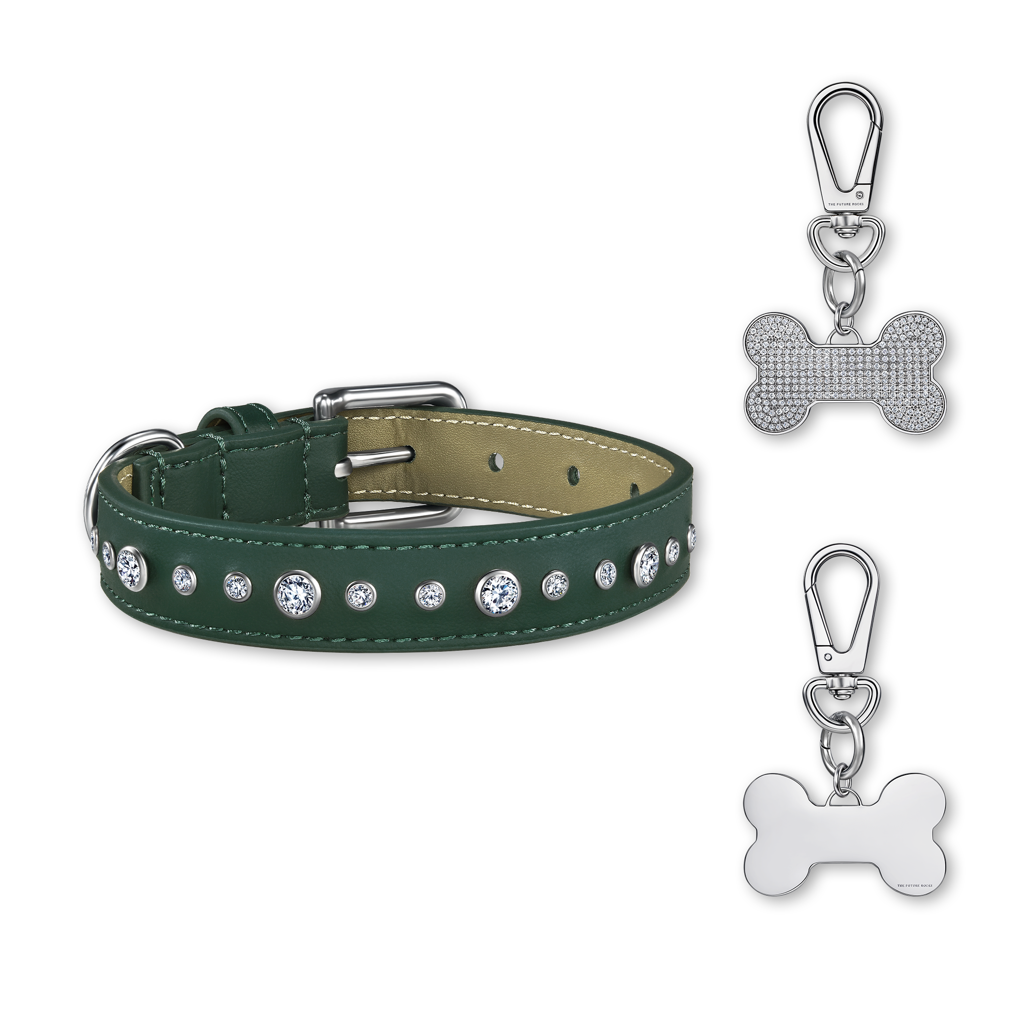  Green pet collar with 1 charm bundle - Green pet collar with 1 charm bundle -  The Future Rocks -    15 