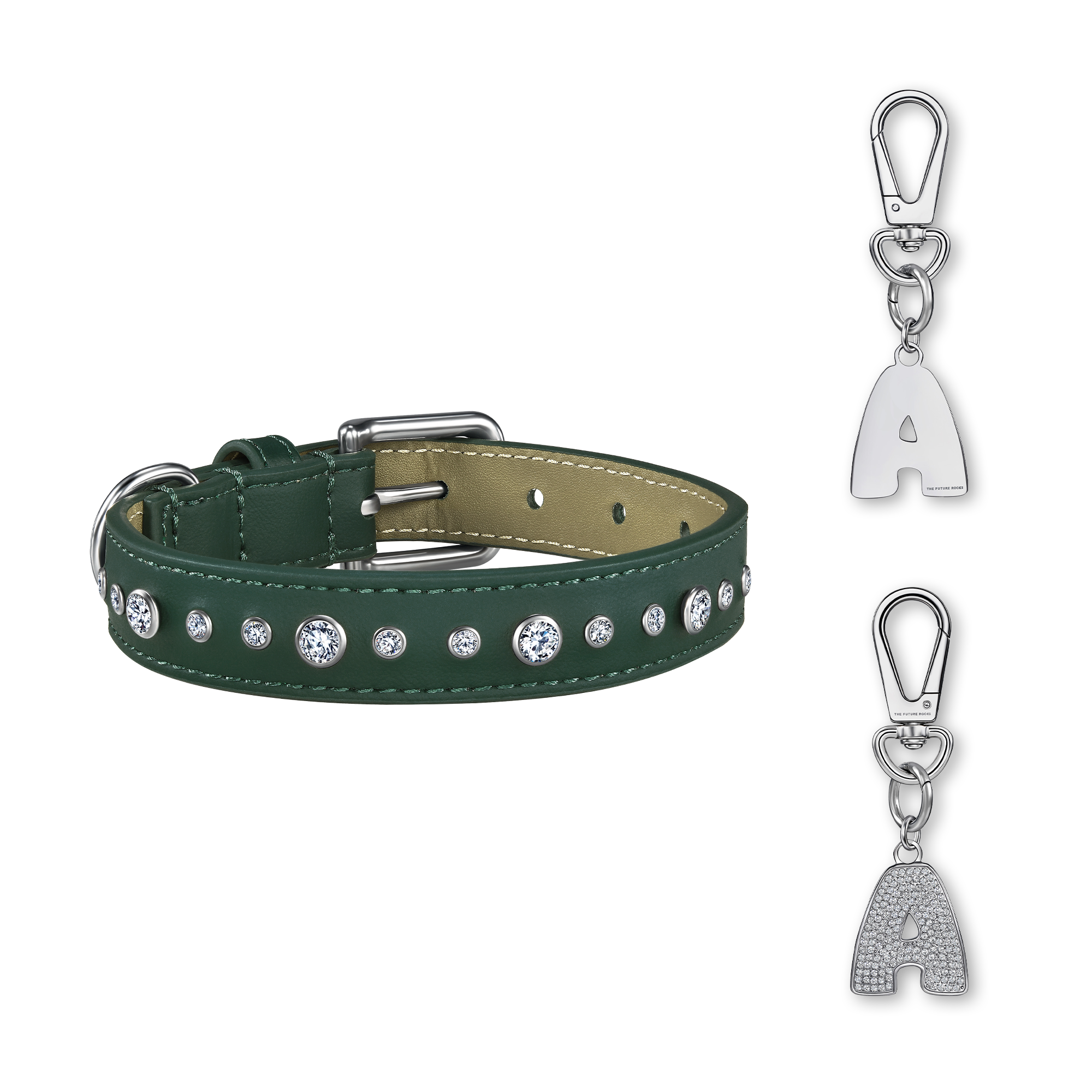  Green pet collar with 1 charm bundle - Green pet collar with 1 charm bundle -  The Future Rocks -    1 