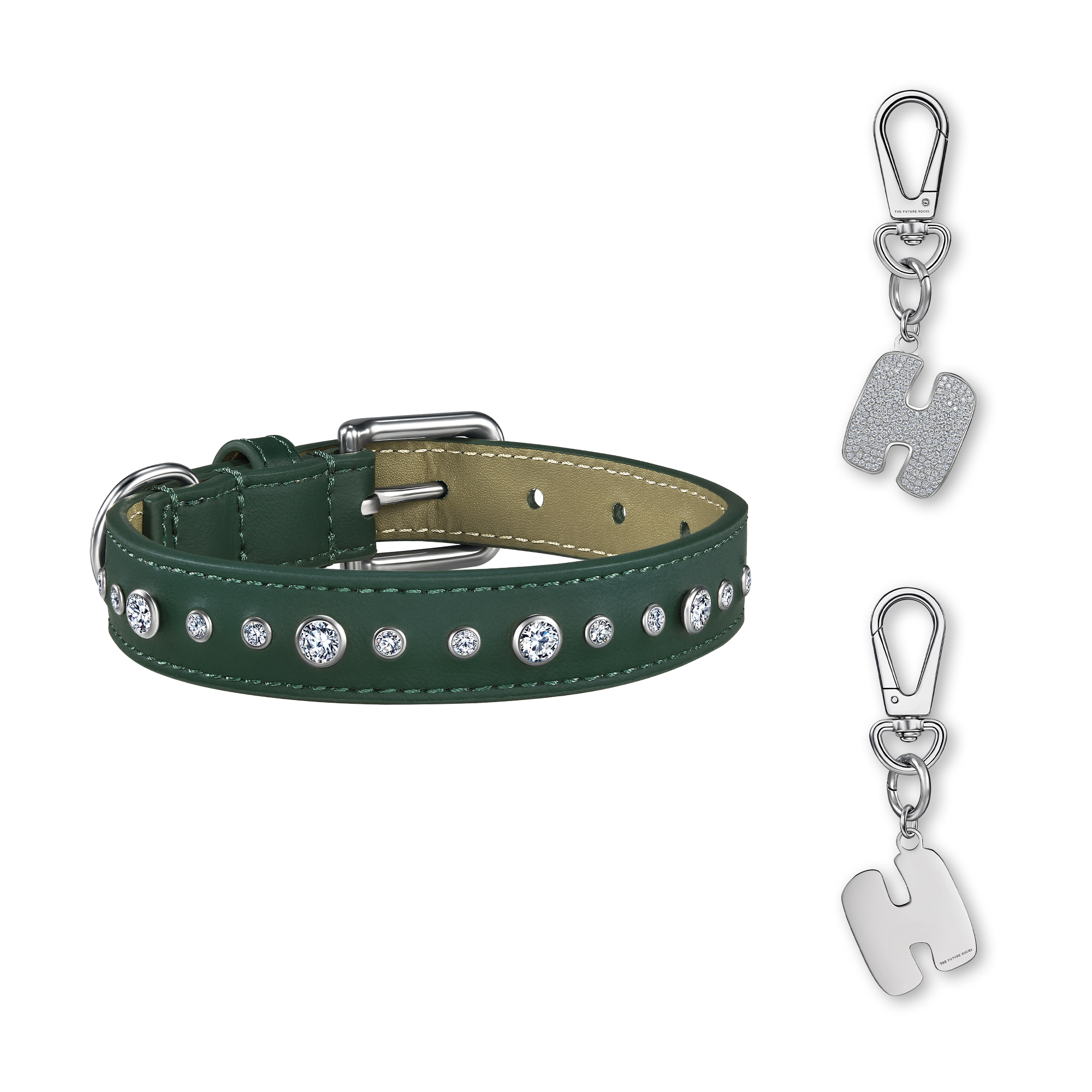Green pet collar with 1 charm | セット