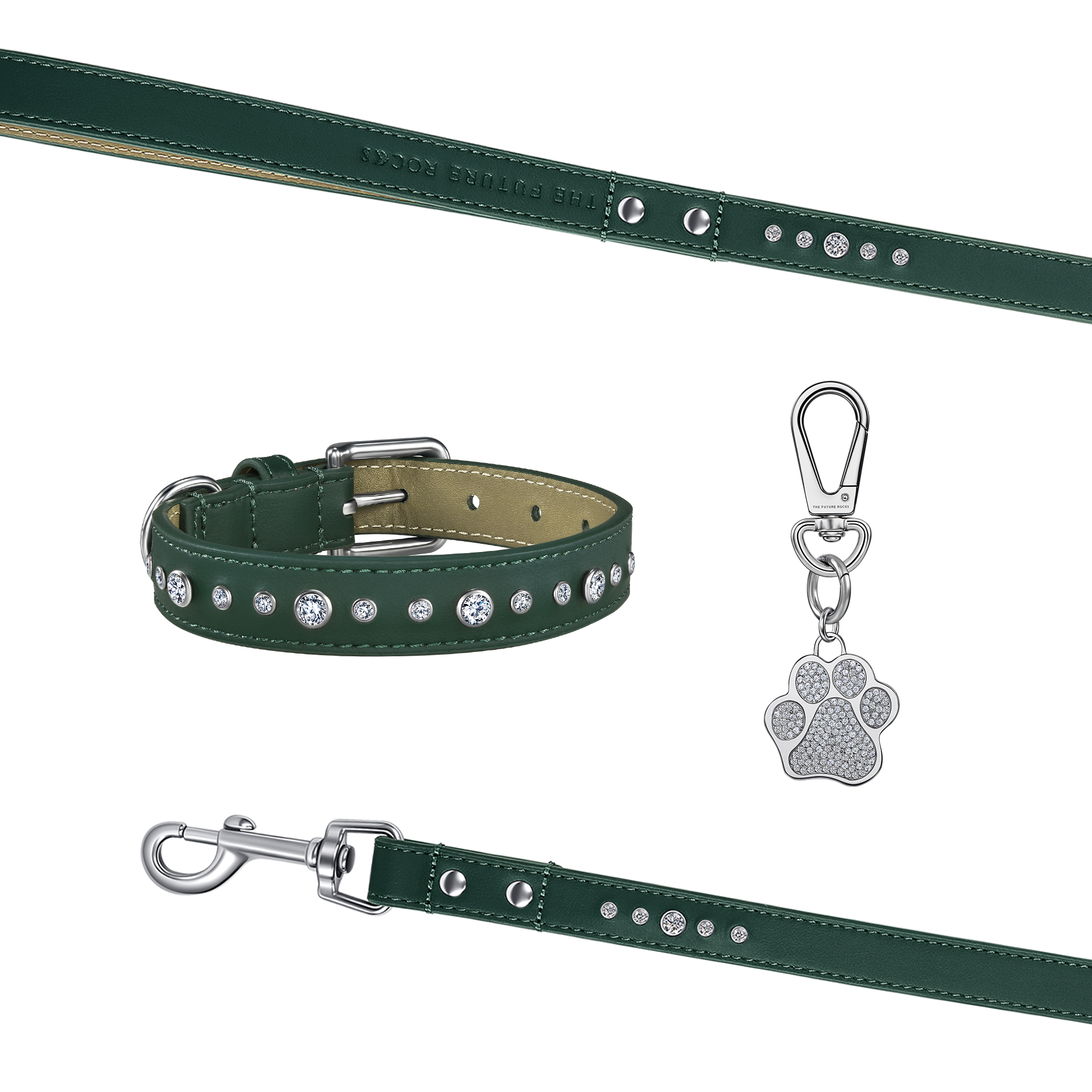  Green pet collar, leash and 1 charm bundle - Green pet collar, leash and 1 charm bundle -  The Future Rocks -    1 