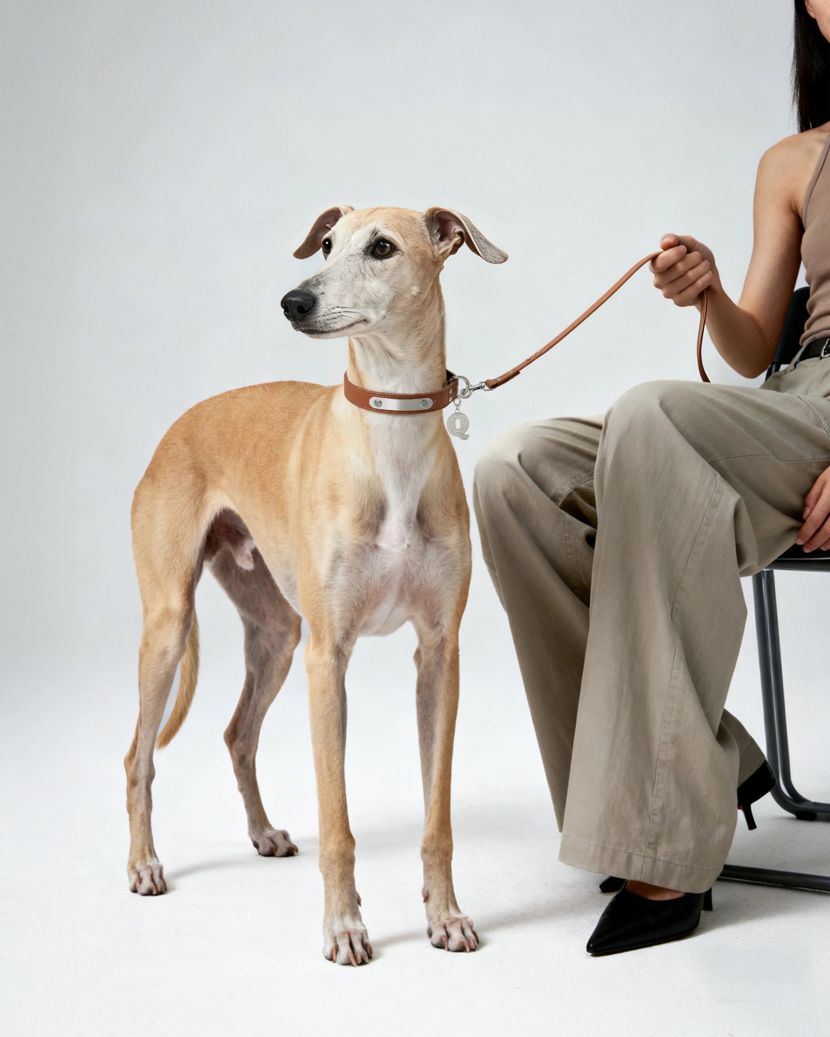  Brown collar & leash bundle - Brown collar & leash bundle -  The Future Rocks -    4 