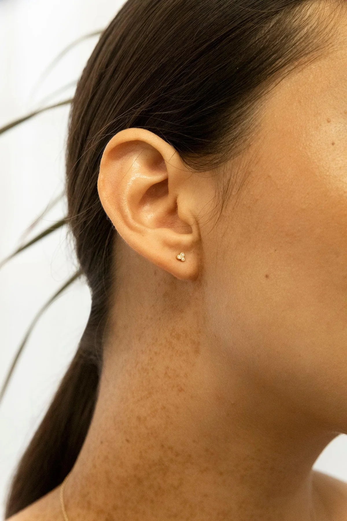  Seed studs - Seed studs -  The Future Rocks -    2 