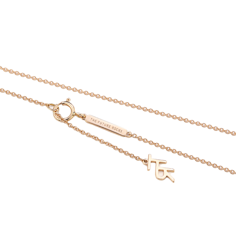 Aries necklace - 18k gold lab-grown diamond zodiac necklace - The Future Rocks