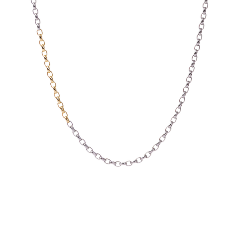  Bi-color chain link necklace - Bi-color Chain Link Necklace -  The Future Rocks  -    1 